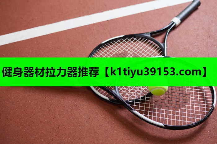 健身器材拉力器推荐