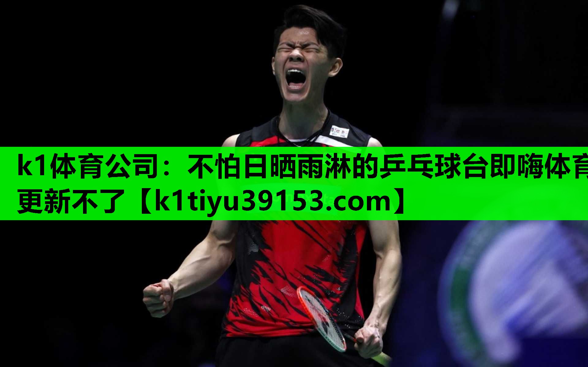 k1体育公司：不怕日晒雨淋的乒乓球台即嗨体育更新不了