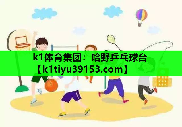 k1体育集团：哈野乒乓球台