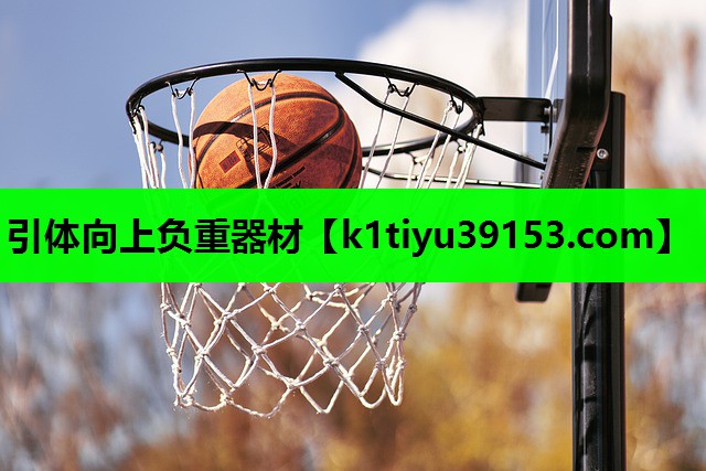 引体向上负重器材