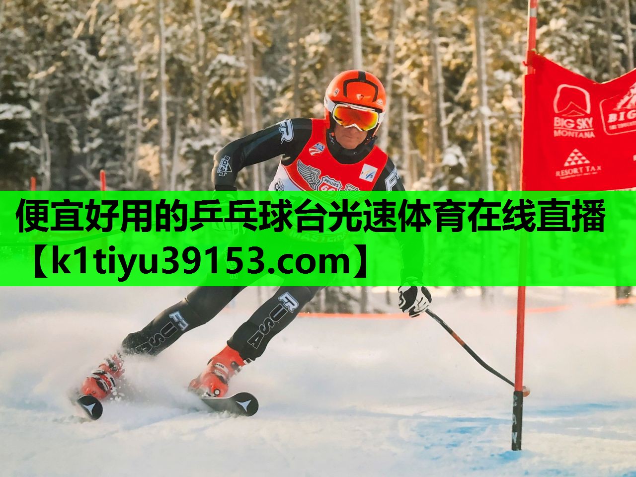 便宜好用的乒乓球台光速体育在线直播