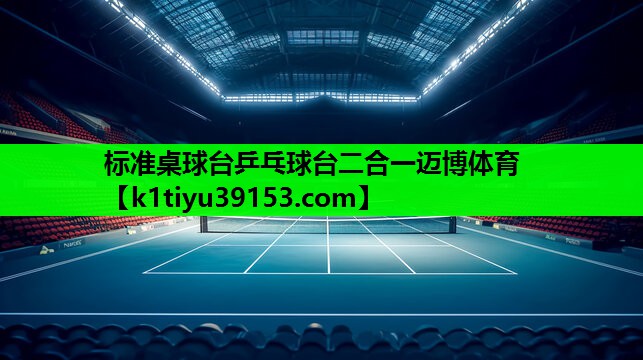 标准桌球台乒乓球台二合一迈博体育