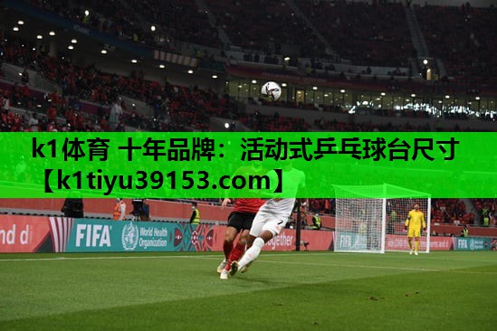 活动式乒乓球台尺寸