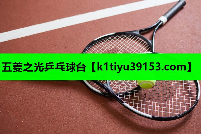 五菱之光乒乓球台